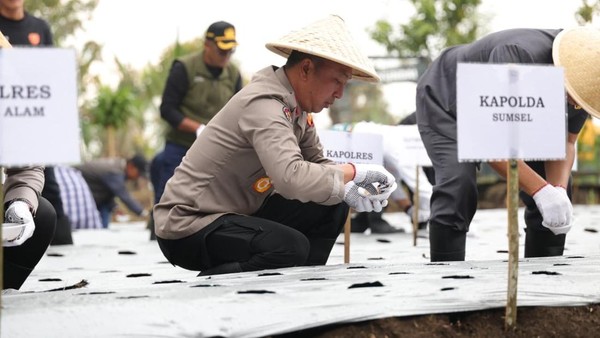 Dukung Ketahanan Pangan Nasional, Polda Sumsel Tanam Bawang Putih