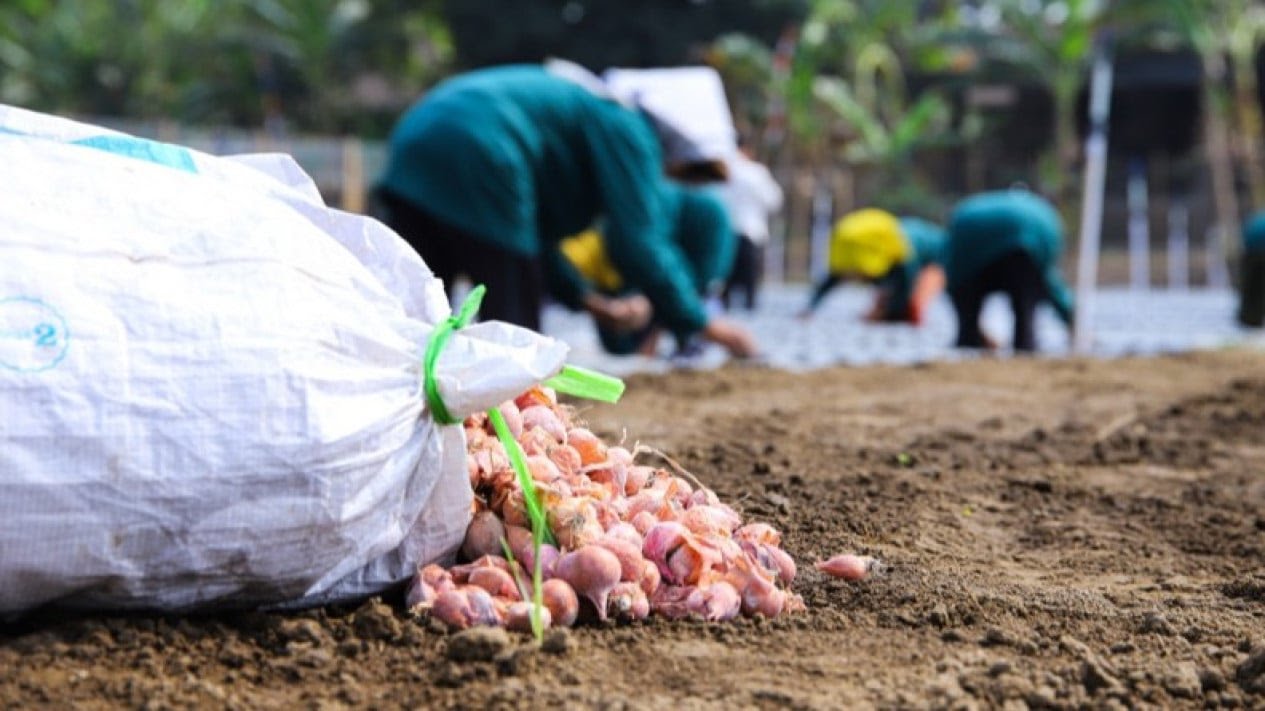 Pleret Dorong Transformasi Pertanian Berbasis IoT, Perkuat Ketahanan Pangan dan Wisata Edukasi