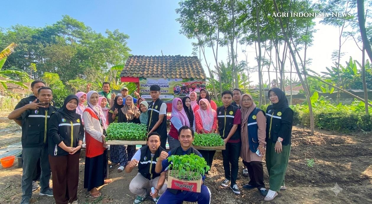 Pekarangan Produktif, Warga Sumbersari Tanam Sayuran Sehat