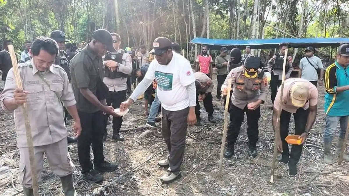 Keerom Perkuat Ketahanan Pangan Perbatasan, Lima Hektare Lahan Jagung Dibuka di Kampung Skofro