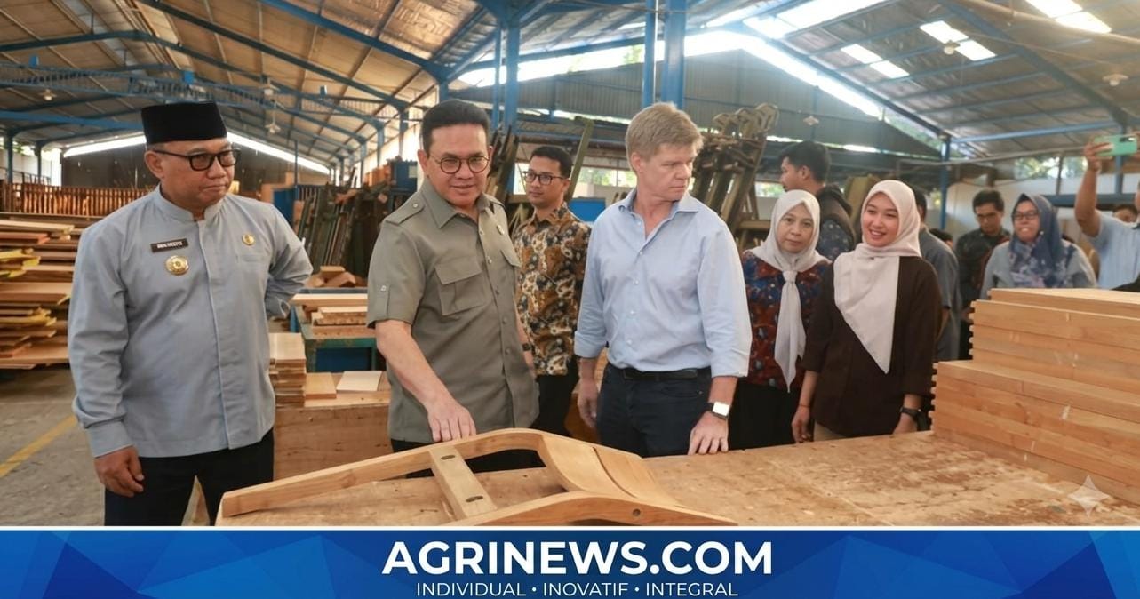 Furnitur Jati Banyuwangi Menembus Pasar Global, Pemerintah Dorong Industri Lokal Naik Kelas