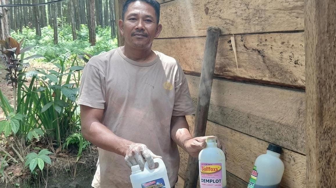 Petani Banyuwangi Viral, Pupuk Organik Dogumon Jadi Perhatian di Tengah Tren Pertanian Ramah Lingkungan