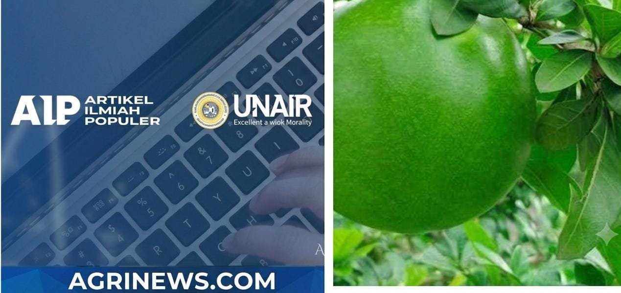 Majapahit Tak Sekadar Tanaman Lokal, Riset Ungkap Potensi Senyawa Alami untuk Kandidat Antikanker Payudara