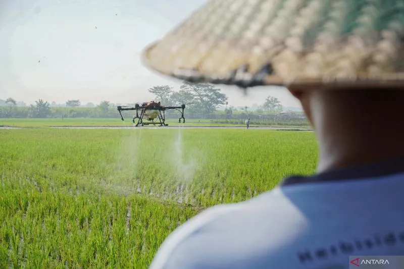 Teknologi Pertanian ala AIN Agri Indonesia News: Drone Jadi Solusi Pertanian Modern yang Lebih Efisien