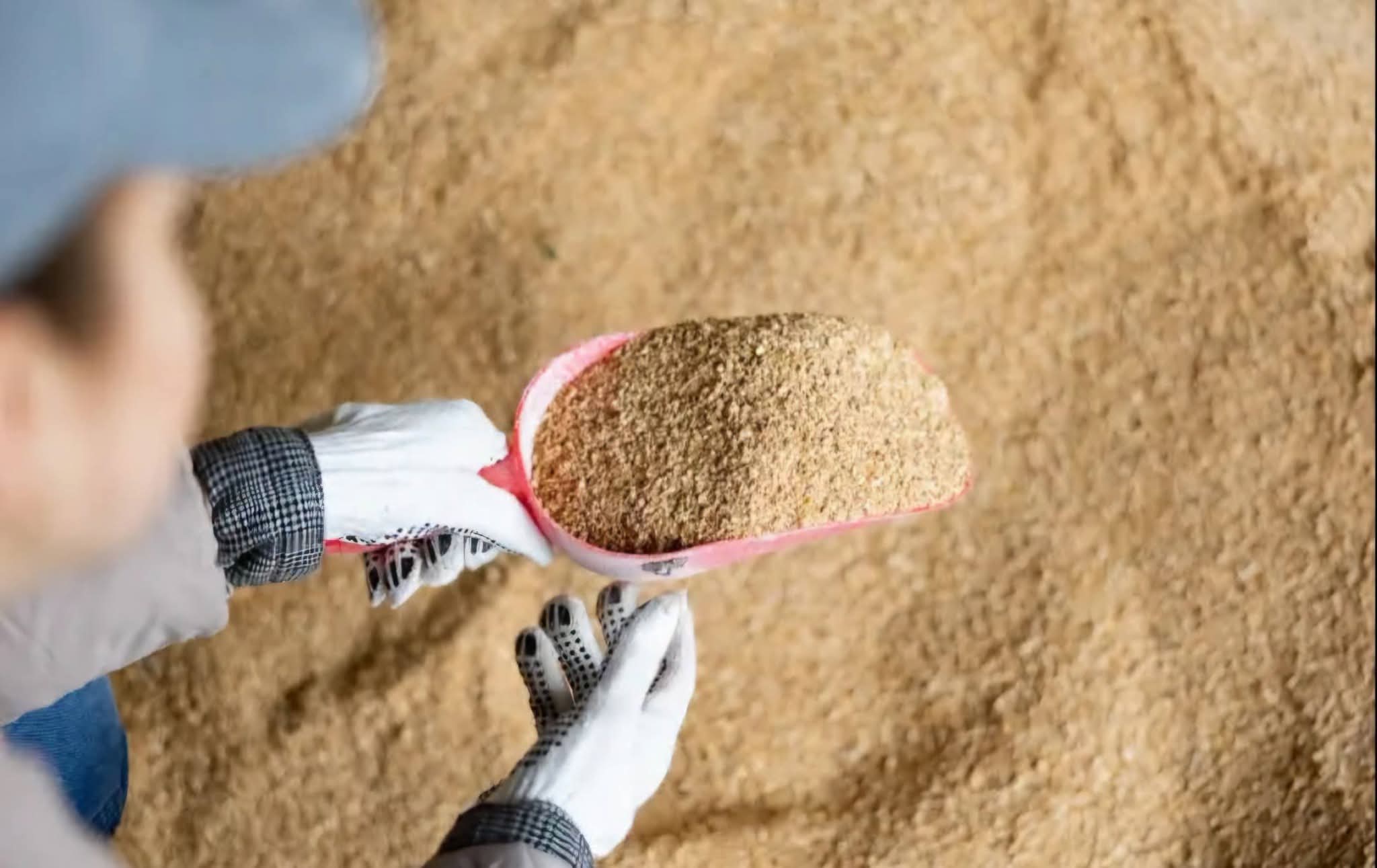 Kementan: Pakan Berkualitas Jadi Kunci Keberhasilan Reproduksi Ternak