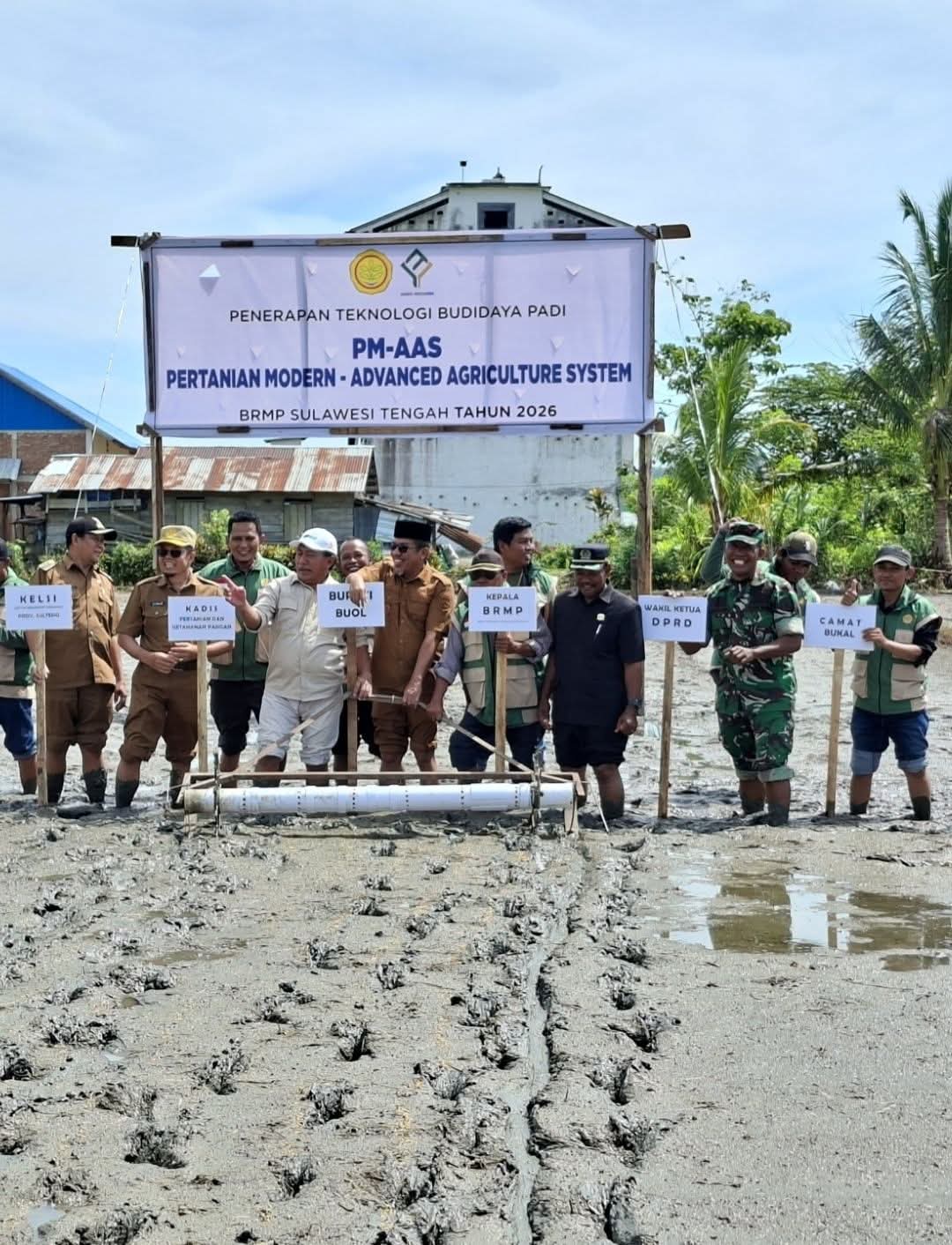 Tanam Padi Perdana di Desa Modo, Kabupaten Buol, Tandai Dimulainya Modernisasi Tanam PM AAS